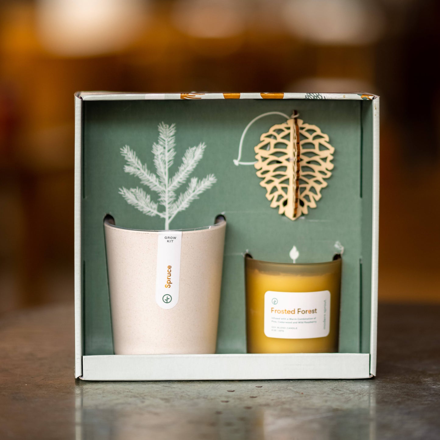 Spruce Grow Kit