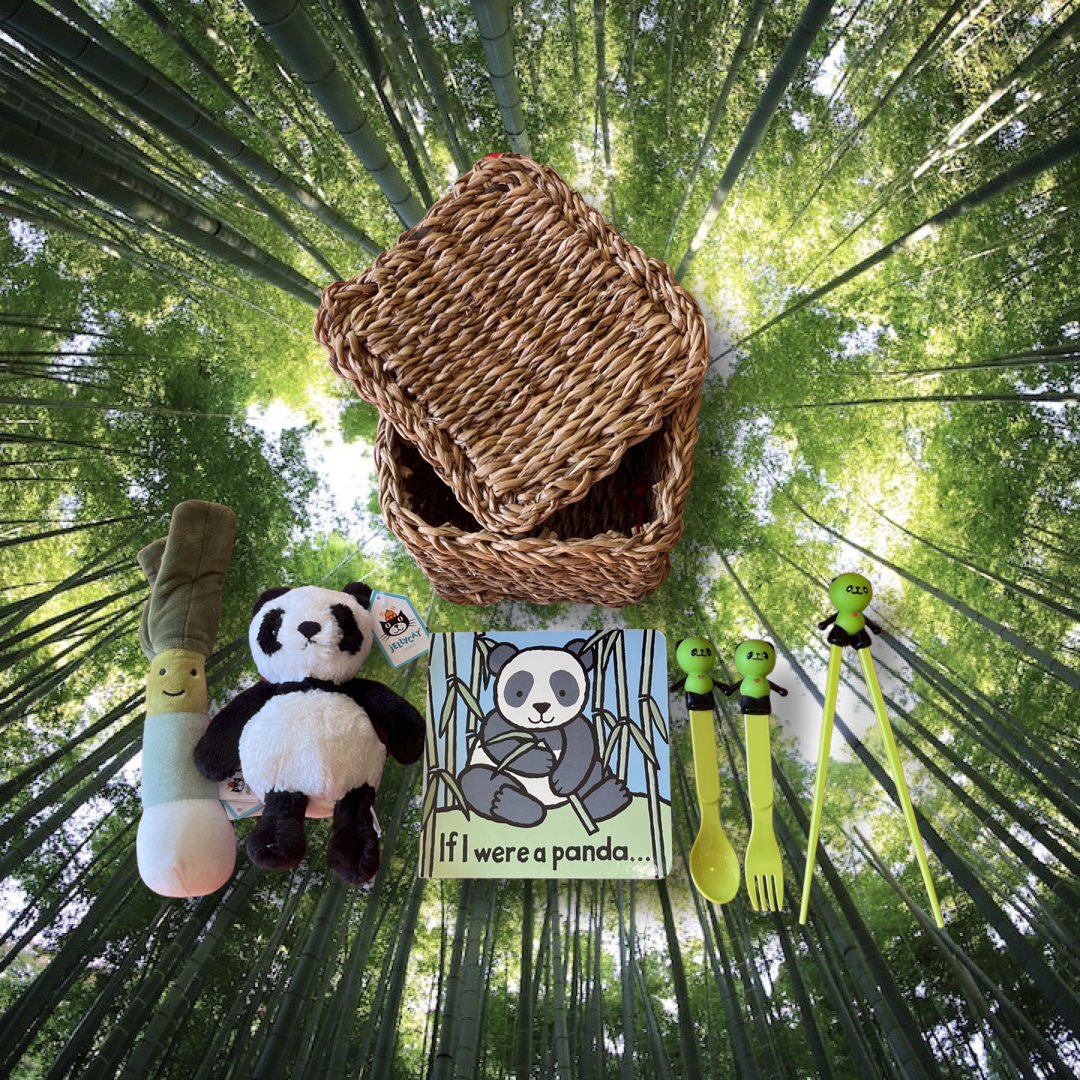 Peek-a-boo Panda Loves Veggies Activity Gift Set
