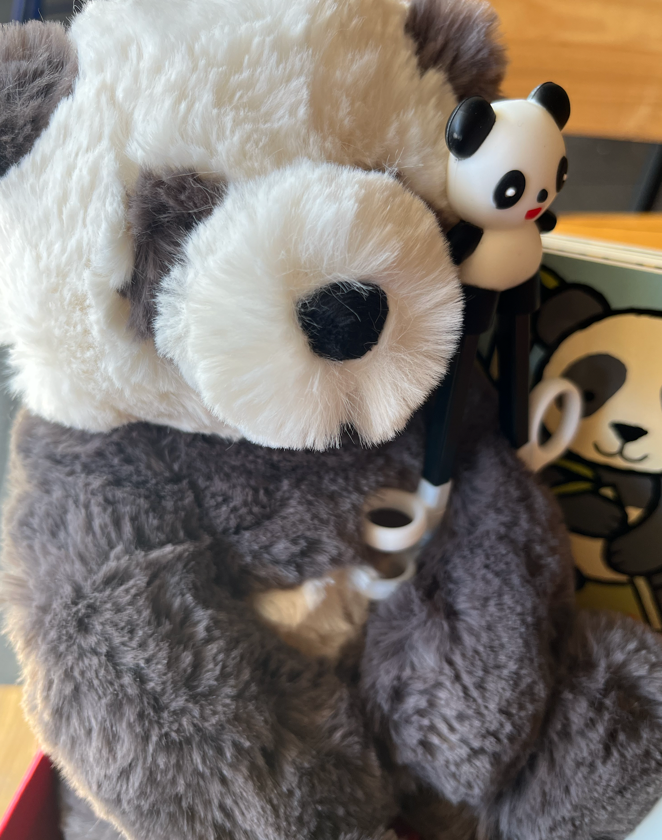 The Giant Panda Activity Gift Set